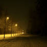 Snowy Night