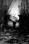 whte by metindemiralay