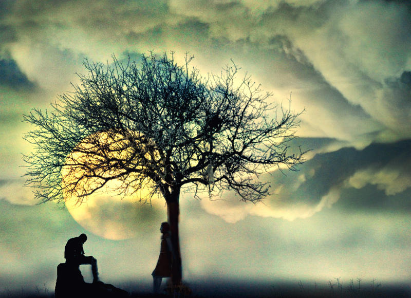 Человек стоит под деревом. Одинокие деревья. Одинокое дерево и человек. Грустное дерево.