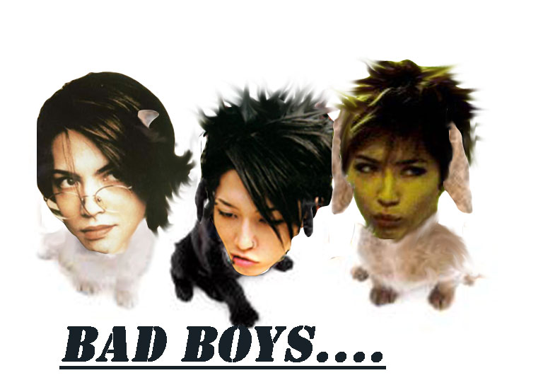 Hyde Miyavi Gackt Dogs By Kawaiimodesmile On Deviantart Hyde Miyavi Gackt Dogs By Kawaiimodesmile On Deviantart