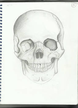 Skull