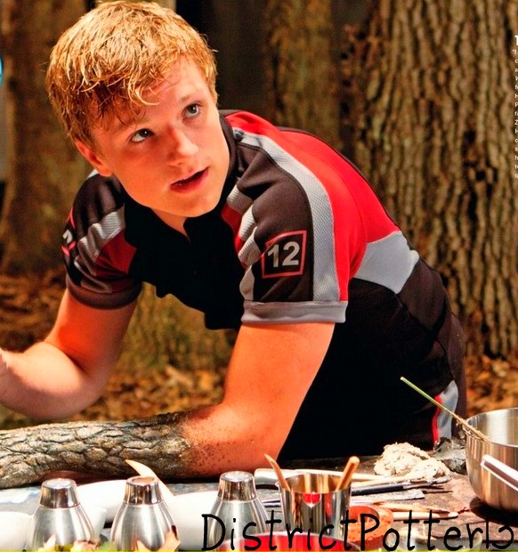 Peeta Mellark In The Training Centre