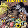 Teenage Mutant Ninja Turtles #53 COVER