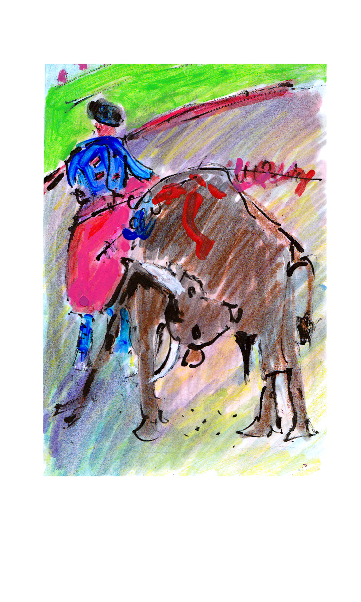 Color Bullfight