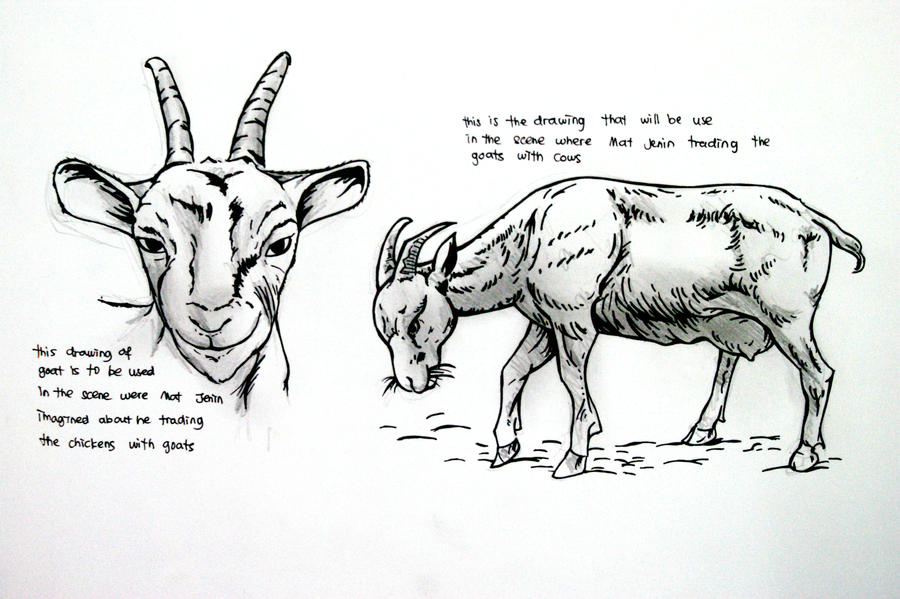 study - goat by hilmi-atudisma on DeviantArt