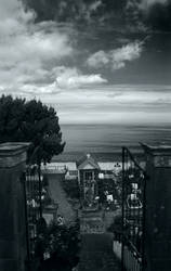 Cemetery - Madeira
