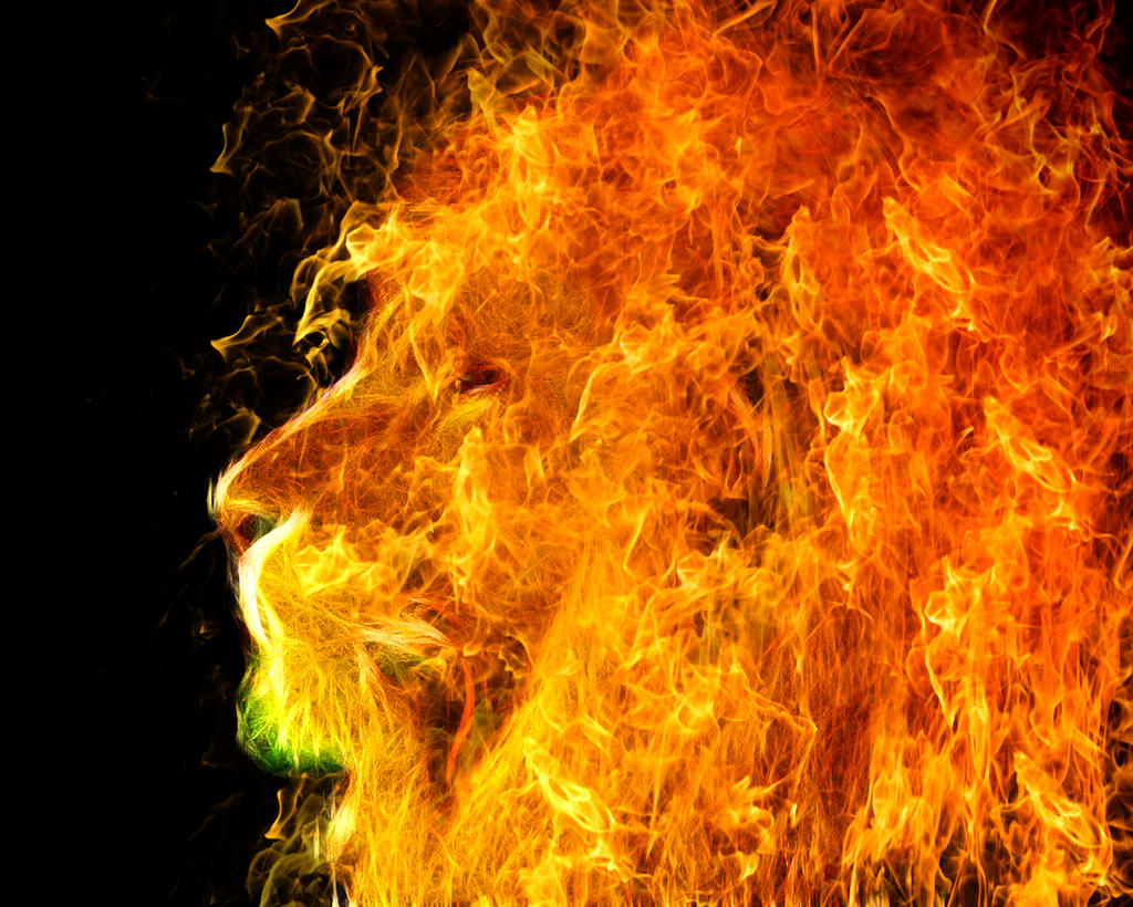 fire lion