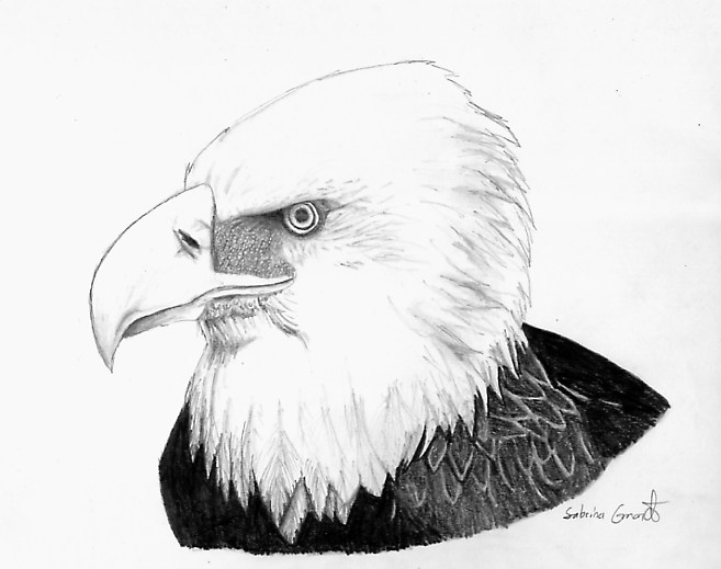 Eagle