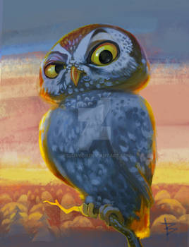 Sych (Little Owl)