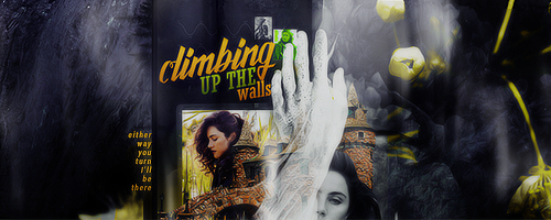 climbing up the walls