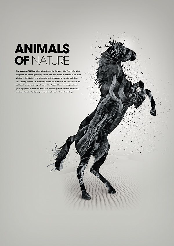 Animals of nature