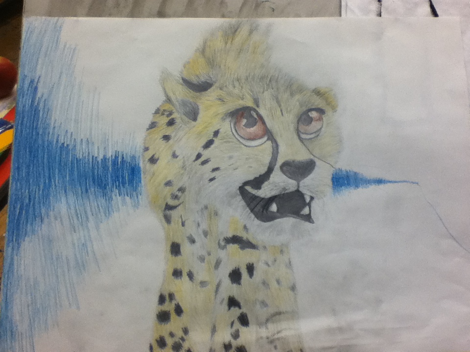 Cheetah Chirpwave