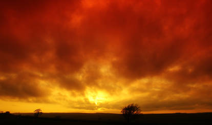 Fire Sky