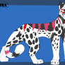 Cheetah Adopt:Open