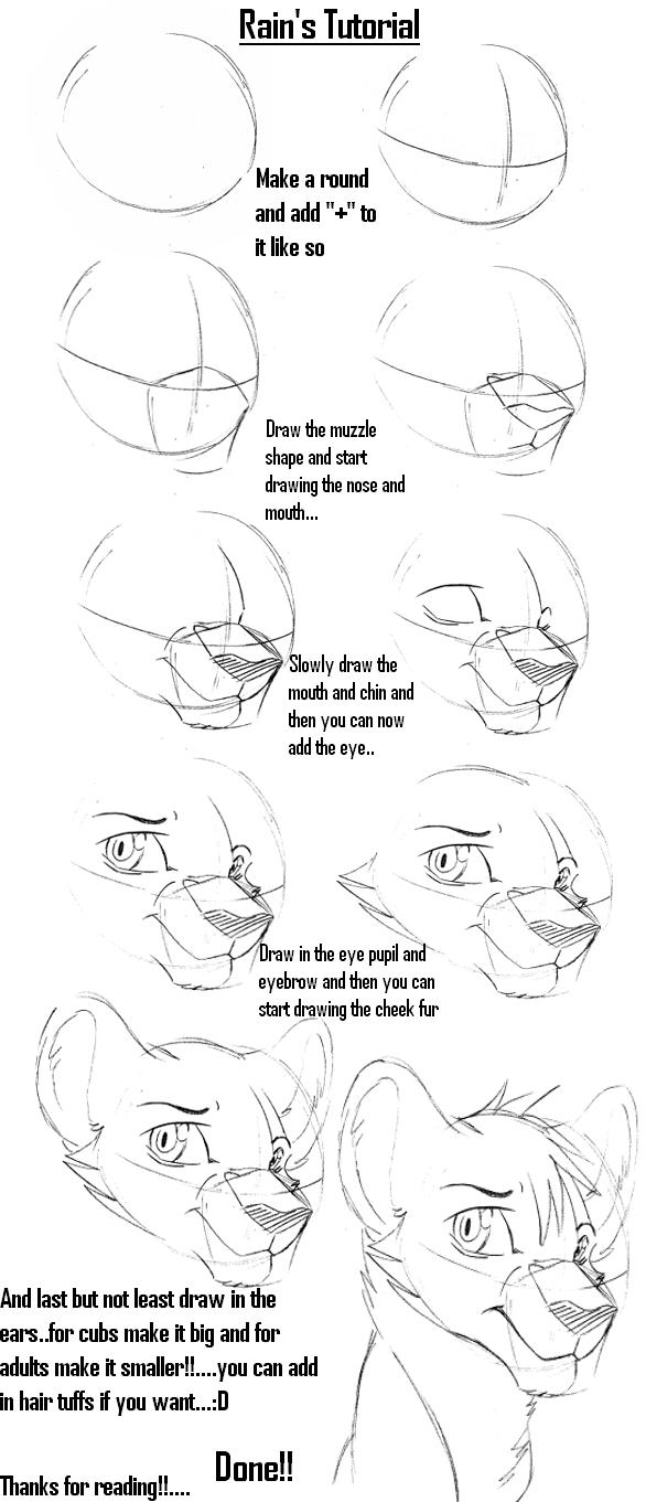 Big cat's head tutorial