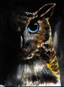 Owl of shadow