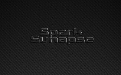 Spark Synapse on Carbon Fiber