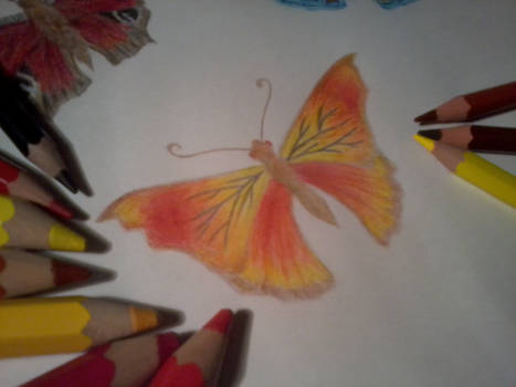 Butterfly 3