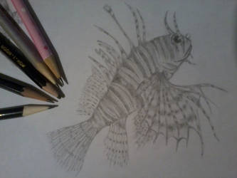 Lionfish