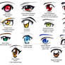 Eye Study 1