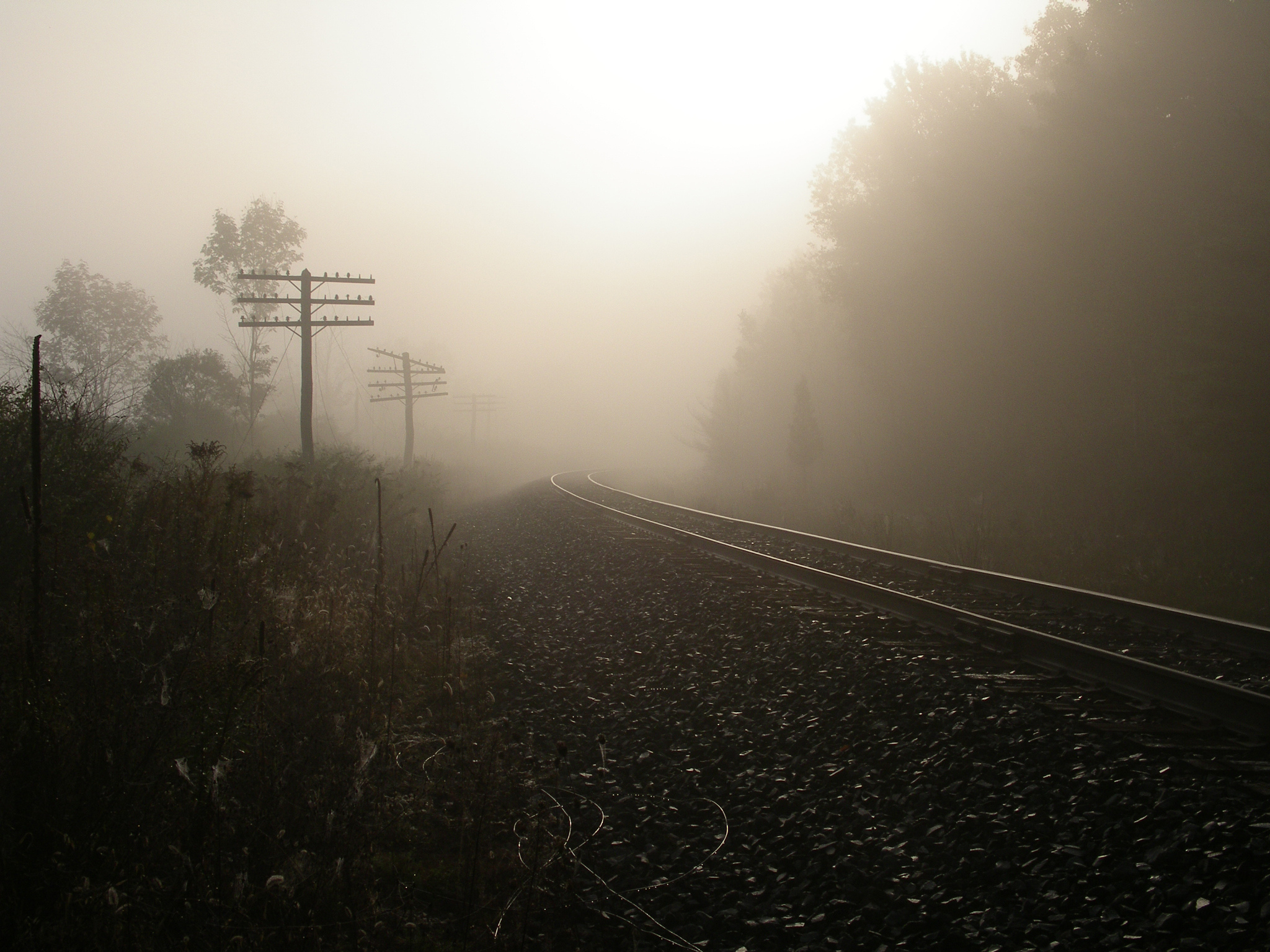 foggy tracks