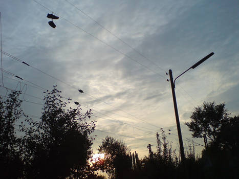 Shoe Tossing