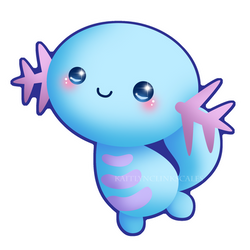 Wooper