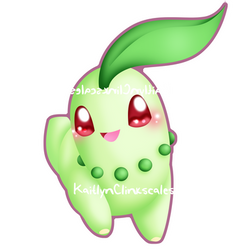 Chikorita v2