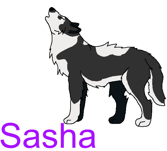 Sasha Request