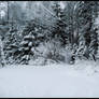 Winter Wonders VIII