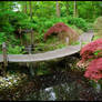 BG Japanese Garden