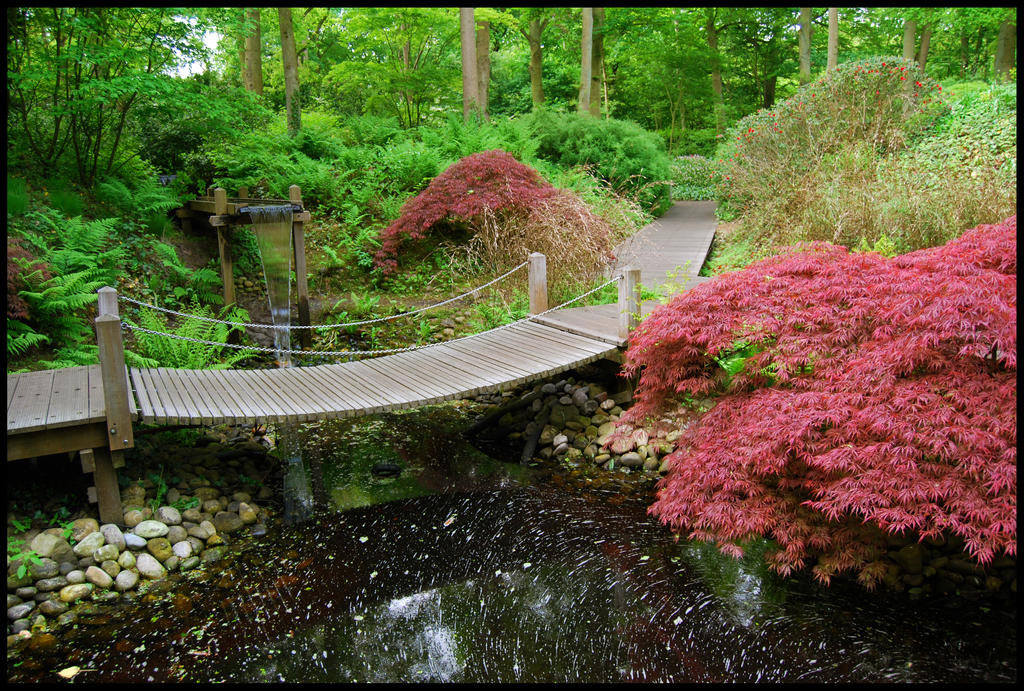 BG Japanese Garden