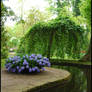 BG Hyacinth Pool