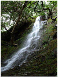 Glendalough Waterfall II