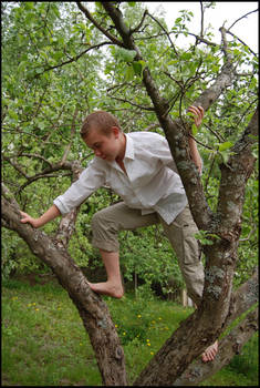 Tree Climber I
