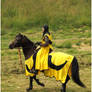 Lady Knight II
