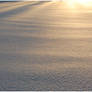 Texture: Snow I