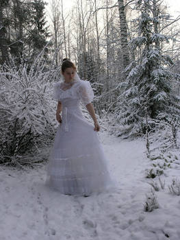 Bride in the snow 1