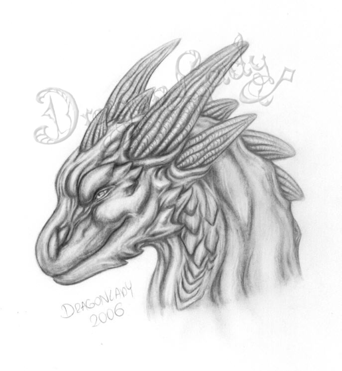 A dragon.