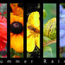 Summer rainbow