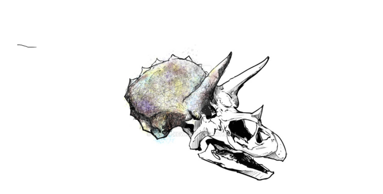 Dino Skull by TrashKew on DeviantArt