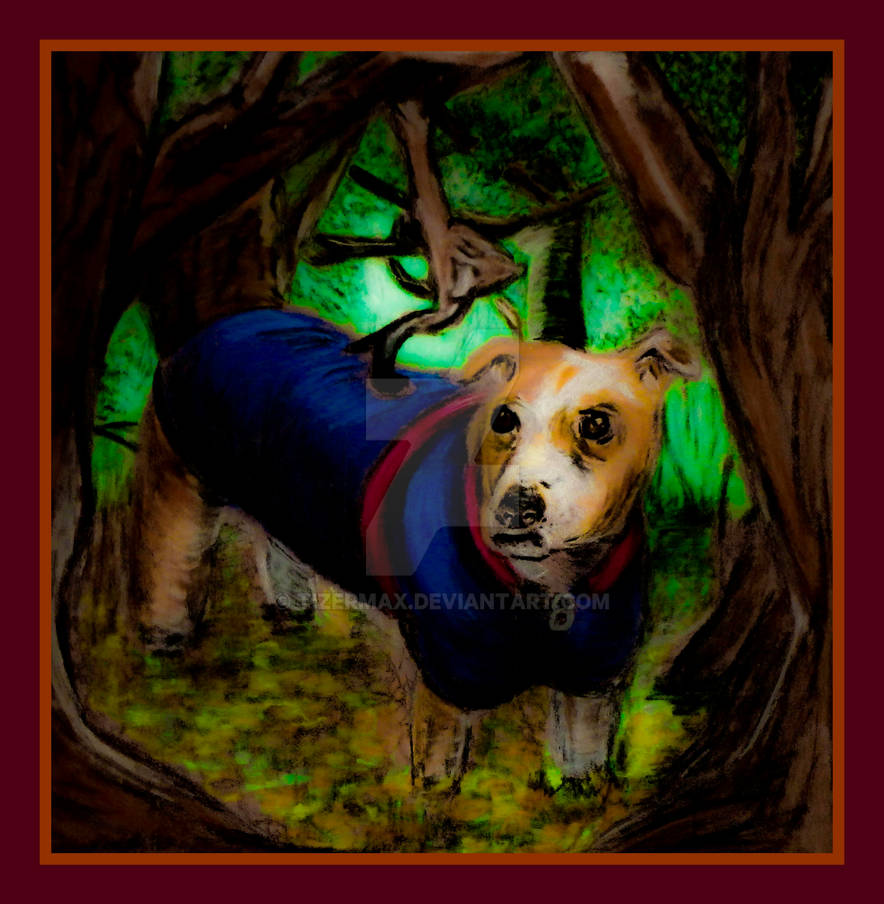 Dog named Roxy by Tizermax on DeviantArt