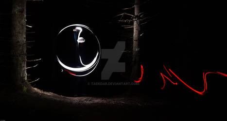 Light Painting in the Woods