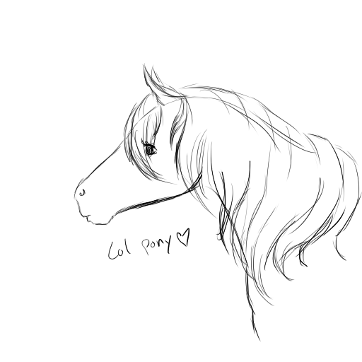 horse sketch