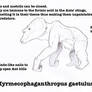 Myrmecophaganthropus