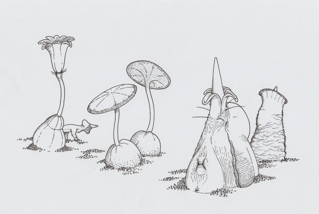 Blossoms/Neoteny by juniorWoodchuck on DeviantArt