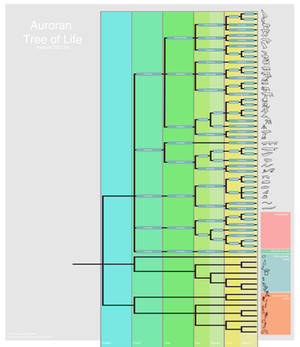 Cladogram of Auroran Life, Version 290119