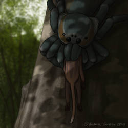 Striped owl-spider