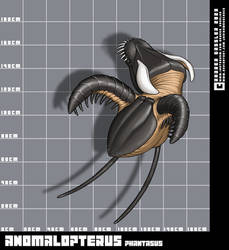 Bestiarium somniandi: Anomalopterus phantasus