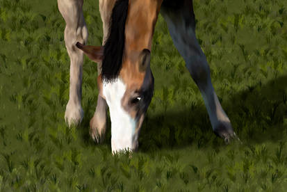 Realistic Foal